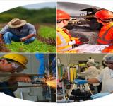 De recesión a estancamiento.