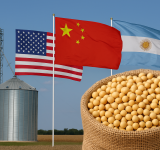 Cómo impacta en Argentina el acuerdo entre Estados Unidos y China por la soja