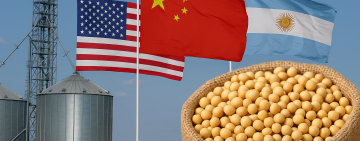 Cómo impacta en Argentina el acuerdo entre Estados Unidos y China por la soja