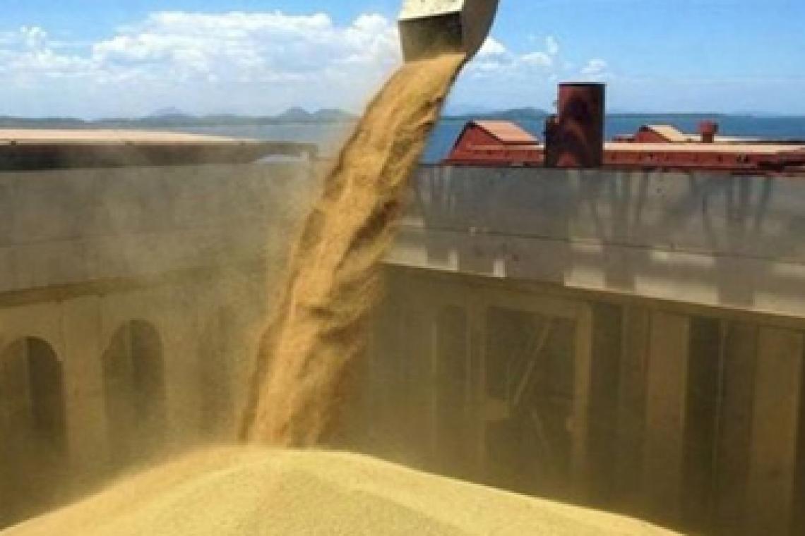 Agroexportadores liquidaron solo U$S 1.117 millones en octubre y alertan por la fuerte caída mensual