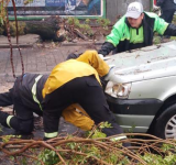 Por la tormenta, Protección Civil reforzó guardias y dio respuesta con más de 50 intervenciones