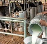 Santa Fe lidera las exportaciones lácteas y consolida el crecimiento del sector