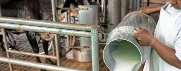 Santa Fe lidera las exportaciones lácteas y consolida el crecimiento del sector