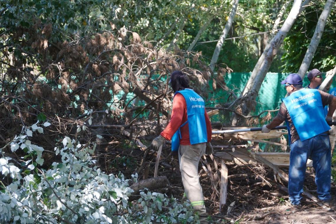 Autonomía: el municipio comenzó a intervenir baldíos descuidados sin necesidad de autorización judicial