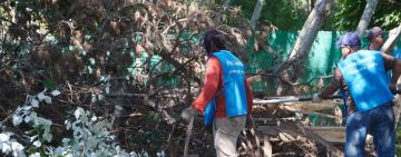 Autonomía: el municipio comenzó a intervenir baldíos descuidados sin necesidad de autorización judicial