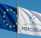 En qué nos favorece en la región: la Unión Europea aprobó el acuerdo de libre comercio con el Mercosur tras 25 años