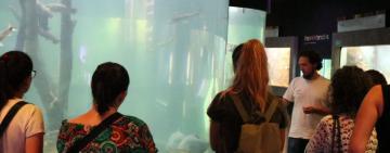 El Acuario del Río Paraná celebra su 8° aniversario con actividades abiertas y gratuitas