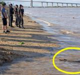 Sorpresa en La Florida: apareció un yacaré en plena jornada de Carnaval y generó preocupación