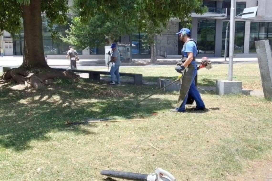 Desmalezado: cuadrillas municipales intensifican tareas en todos los distritos