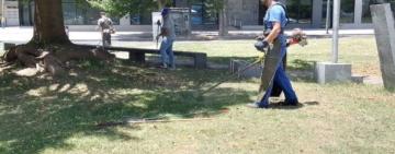 Desmalezado: cuadrillas municipales intensifican tareas en todos los distritos