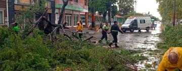 Tormenta en Rosario: ráfagas de hasta 102 km/h y más de 250 intervenciones