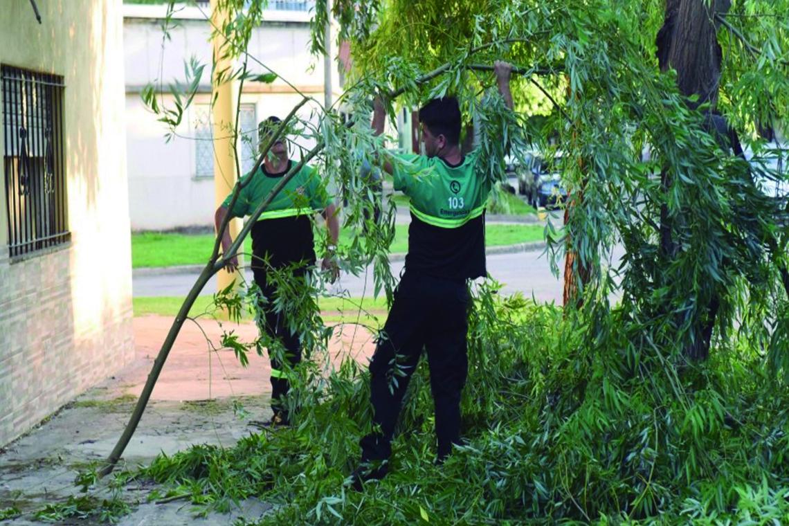 Tormenta en Rosario: ráfagas de hasta 83 km/h y más de 40 mm de lluvia
