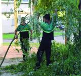 Tormenta en Rosario: ráfagas de hasta 83 km/h y más de 40 mm de lluvia
