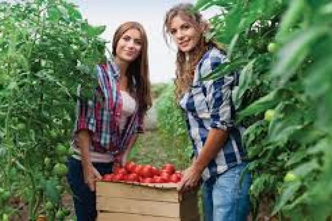 Las mujeres rurales reinventan sus emprendimientos para sortear la pandemia