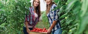 Las mujeres rurales reinventan sus emprendimientos para sortear la pandemia