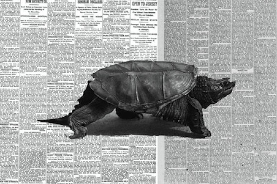 ¿Puede el «periodismo lento» reconquistar a los que evitan las noticias?