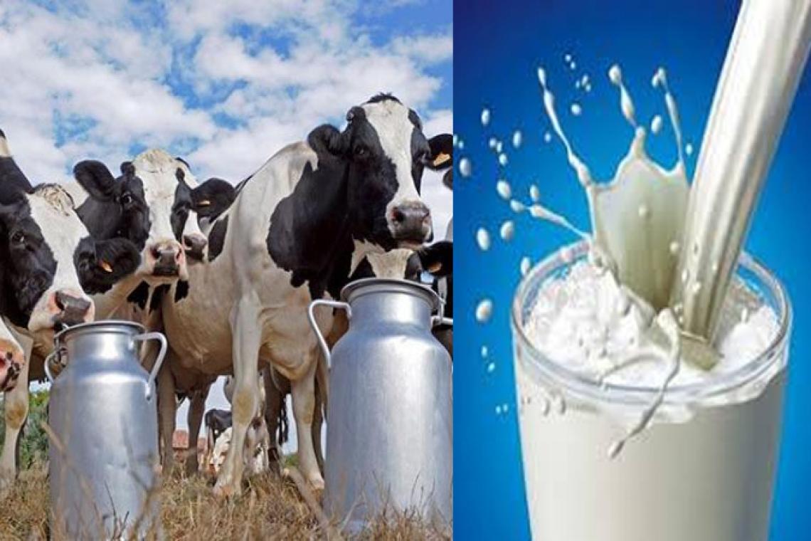 Lanzan un sistema de pasteurización en origen que abaratará el precio de la leche
