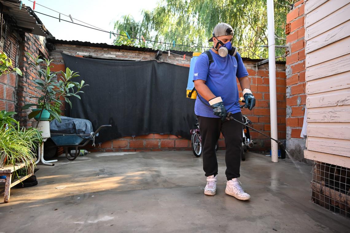 Mejor prevenir que curar: cómo evitar la aparición del mosquito transmisor de dengue