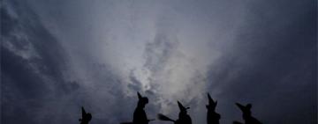 Todo lo que necesitas saber sobre Halloween