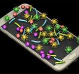 Qué dicen de vos los gérmenes de tu teléfono