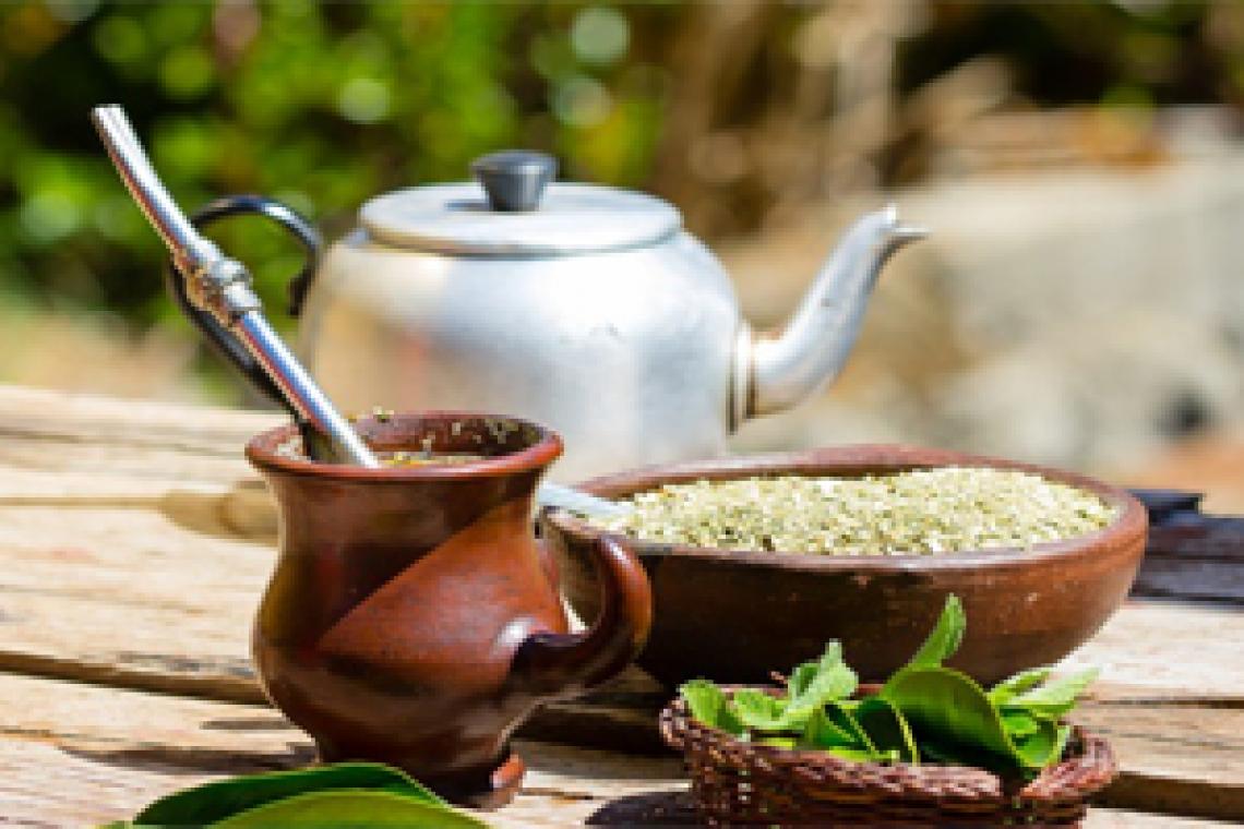 Día Internacional del Mate: mitos alrededor de este gran compañero
