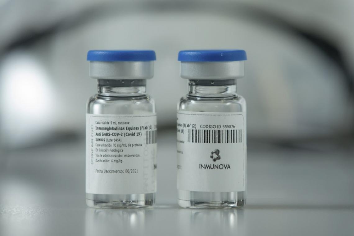 Comienza la distribución del suero equino hiperinmune desarrollado en Argentina