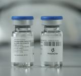 Comienza la distribución del suero equino hiperinmune desarrollado en Argentina