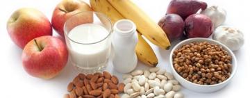 La importancia de los probióticos en la alimentación diaria