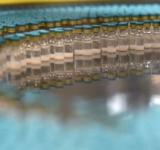  "La distribución desigual de vacunas entre países ricos y pobres significará que el virus continuará propagándose y mutando"