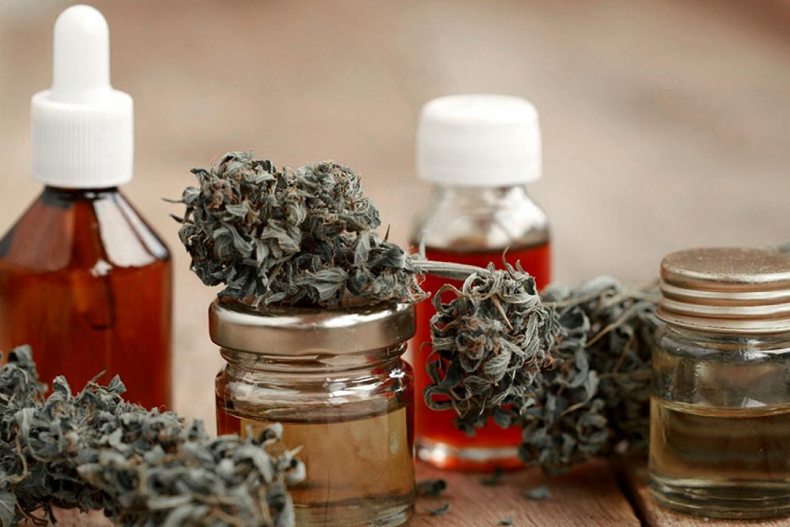 El Gobierno reglamentó el registro de autocultivo de cannabis medicinal