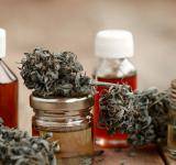 El Gobierno reglamentó el registro de autocultivo de cannabis medicinal