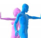 Cómo el funcionamiento de tu sistema inmunitario cambia según la hora del día