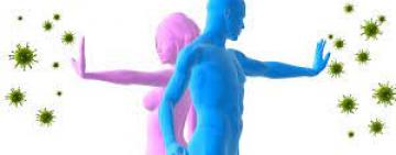 Cómo el funcionamiento de tu sistema inmunitario cambia según la hora del día