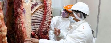 Gobierno argentino y exportadores logran principio de acuerdo para retomar los embarques de carne