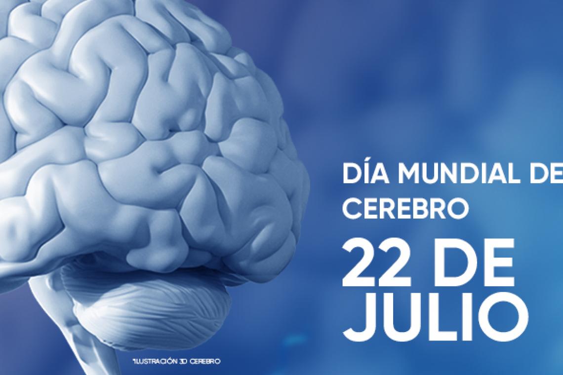 Día mundial del cerebro: ¿Cómo cuidarlo?