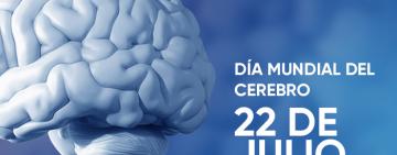 Día mundial del cerebro: ¿Cómo cuidarlo?