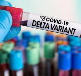 Variante Delta: las claves y preguntas sobre la circulación en Argentina