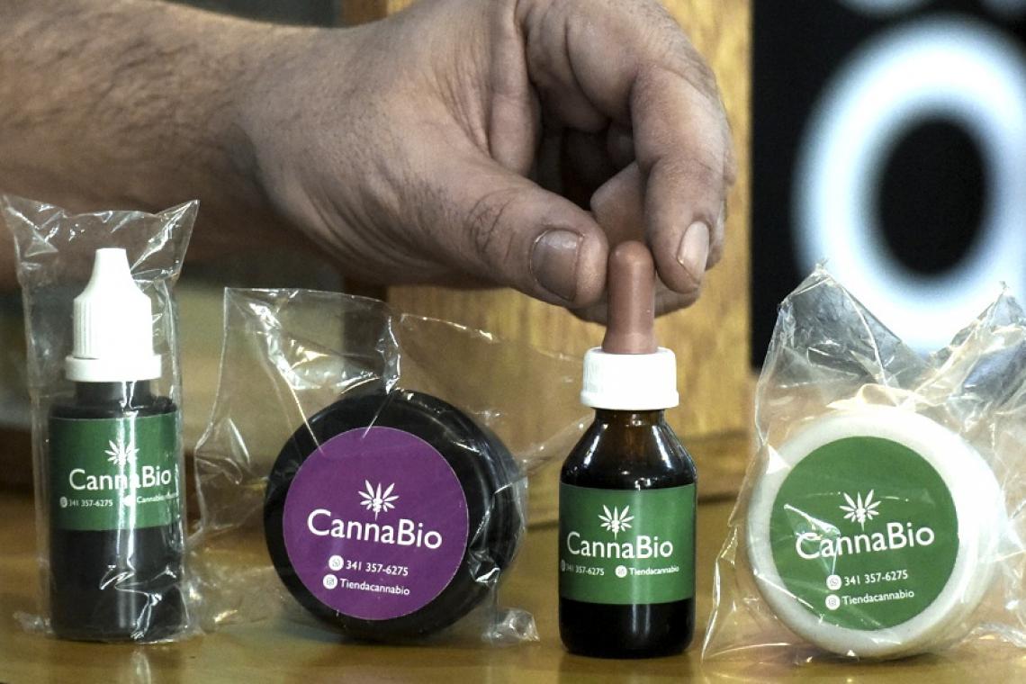 Entusiasmo en las provincias por las oportunidades que arroja el cannabis medicinal