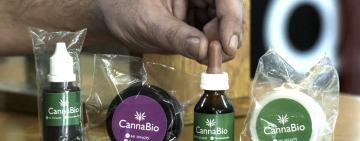 Entusiasmo en las provincias por las oportunidades que arroja el cannabis medicinal