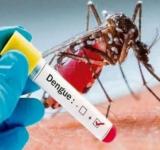 Con la llegada de la primavera el municipio recuerda medidas para prevenir el dengue