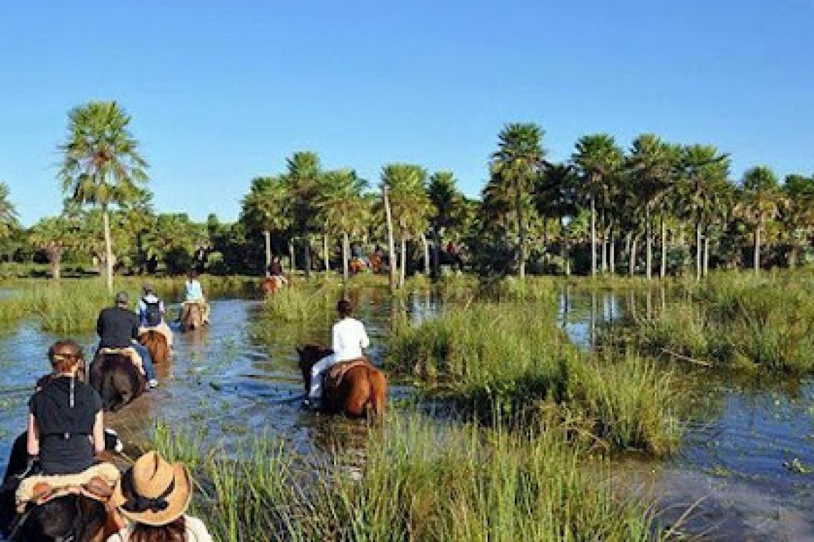 Unos 3,5 millones de turistas recorrieron el país el fin de semana largo
