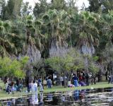 Rosario une el Autódromo con el Bosque de los Constituyentes