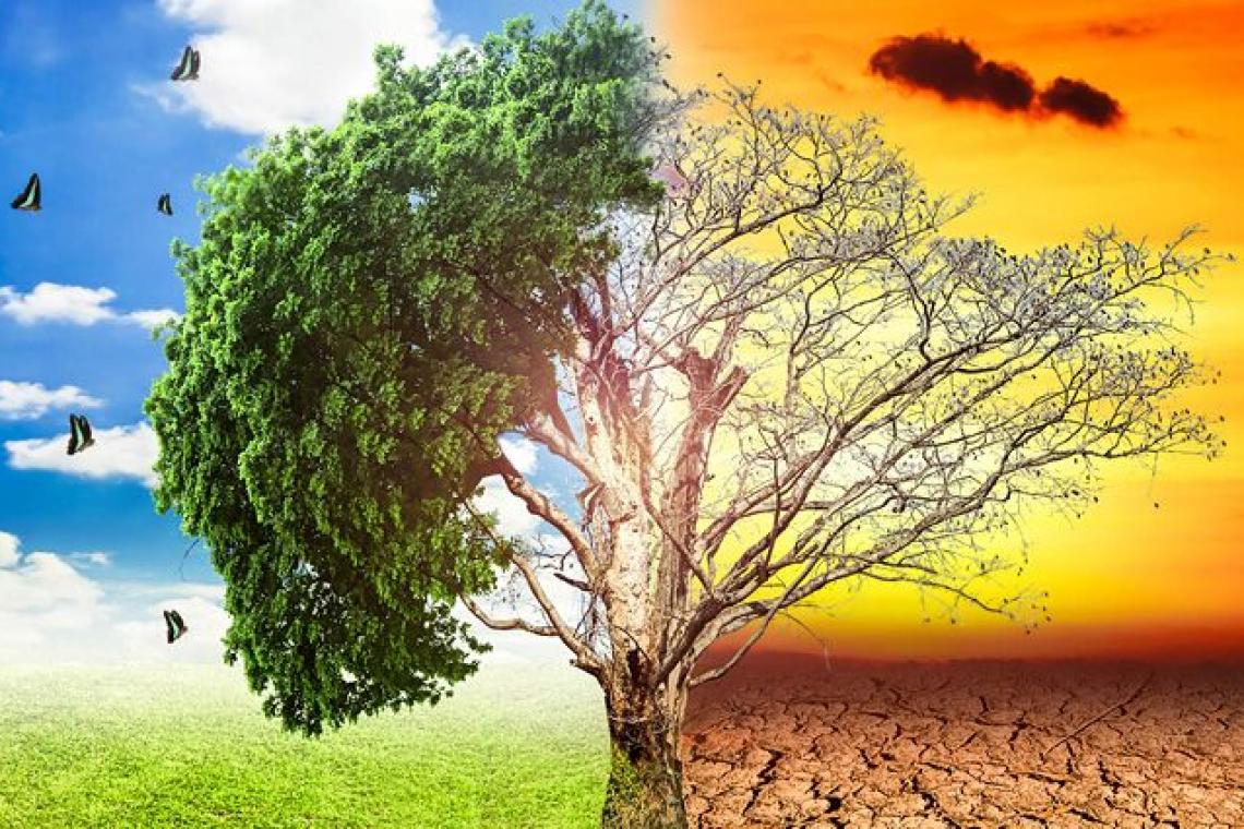 LA PROVINCIA CONVOCA A PRESENTAR PROYECTOS QUE PROMUEVAN PRODUCCIONES CLIMÁTICAMENTE INTELIGENTES