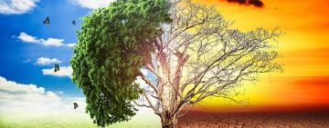 LA PROVINCIA CONVOCA A PRESENTAR PROYECTOS QUE PROMUEVAN PRODUCCIONES CLIMÁTICAMENTE INTELIGENTES