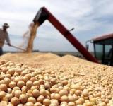 Ante la grave situación agroclimática, la expectativa está puesta en las lluvias