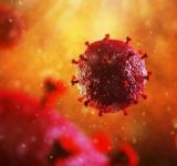 La variante beta de coronavirus generaría anticuerpos para delta y ómicron