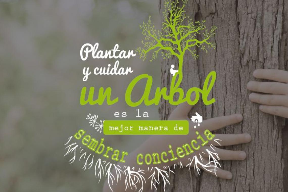 Día del árbol 