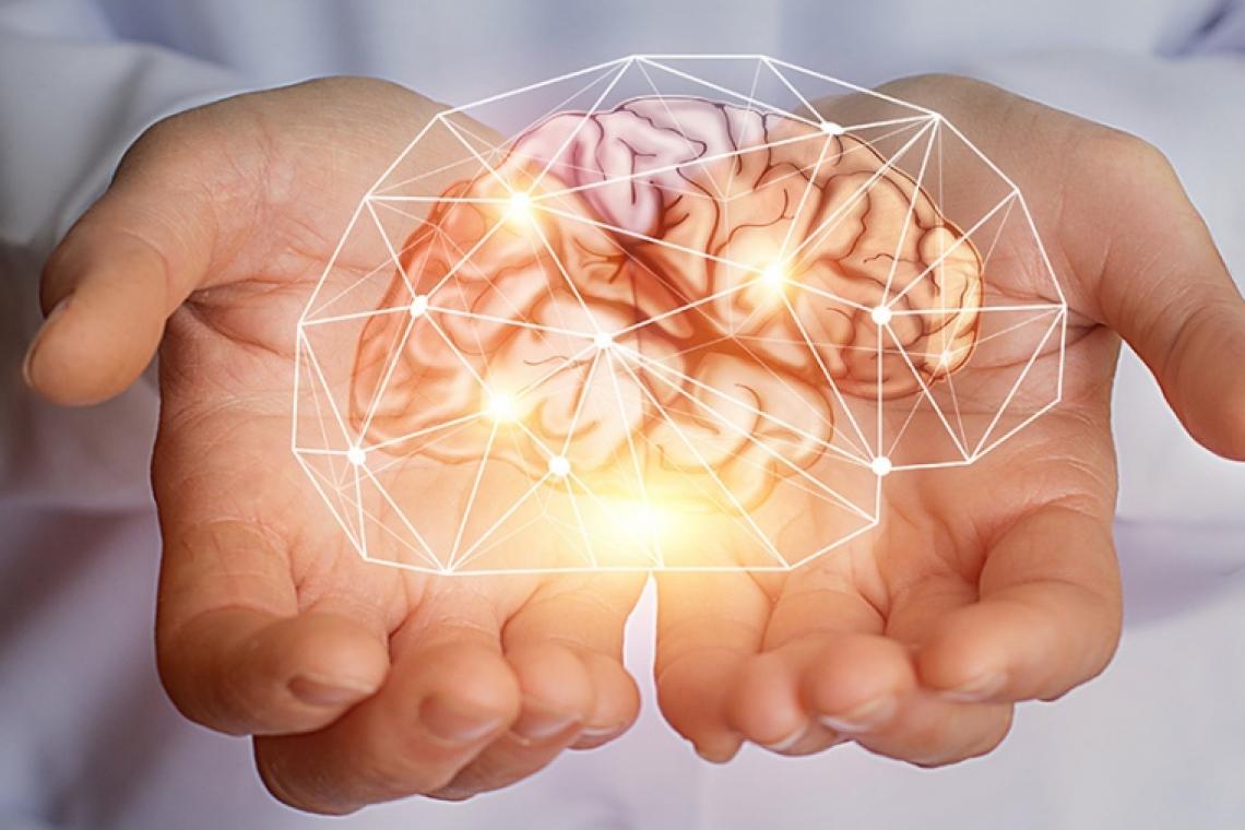 La potencialidad del cerebro