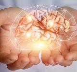 La potencialidad del cerebro