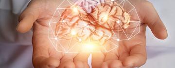 La potencialidad del cerebro